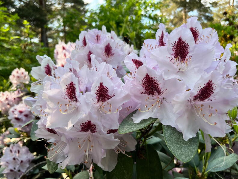 23-06-03 16-44-56 5796